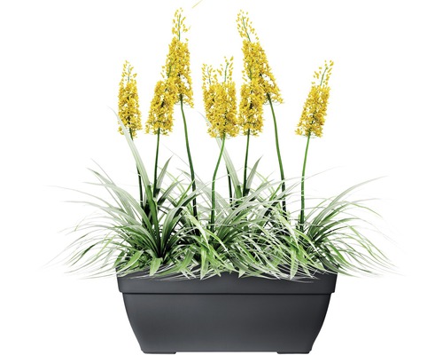 Gelbe Blumen in einem grauen Pflanzgefäß.