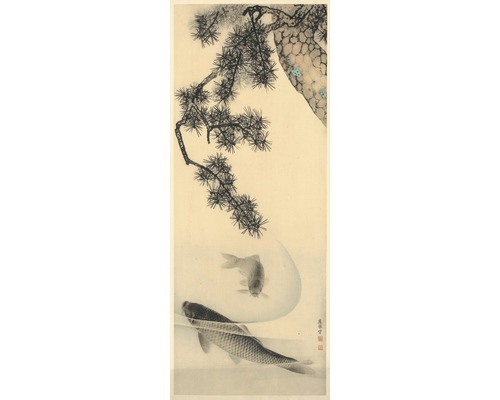Papier peint panoramique intissé V2-762 Koi 2 pces 100 x 250 cm Illustration de poissons sous une branche de pin