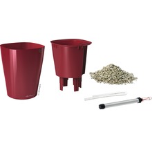 Pot de fleurs Lechuza Deltini Ø 14 x H 18 cm rouge avec système d’arrosage de la terre insert pour plantes substrat indicateur de niveau d’eau 9 pièces