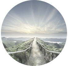 Un chemin sur une colline avec vue sur un paysage.