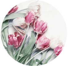 Glasbild rund Tulpen Ø 20 cm GLR063