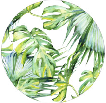 Motif circulaire avec des feuilles tropicales