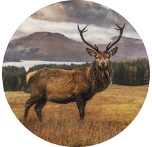 Glasbild rund Deer In A Field Ø 20 cm GLR068