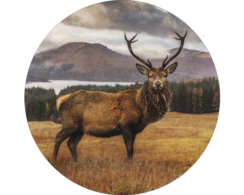 Tableau en verre rond Deer In A Field Ø 20 cm