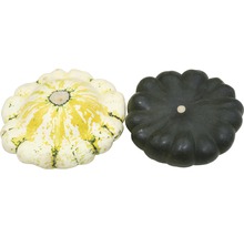 Deux courges comestibles
