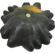 Une courge pattypan verte et jaune.