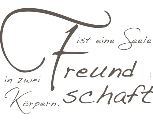Wanddekoration mit dem Schriftzug Freundschaft ist eine Seele in zwei Körpern.