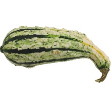 Courge d''ornement décorative