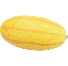 Courge spaghetti