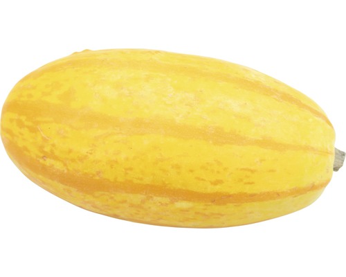 Courge spaghetti