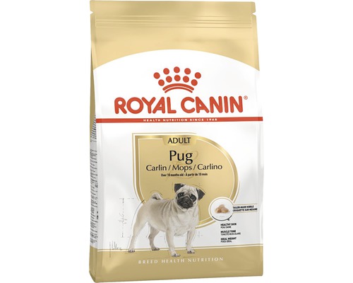 Royal Canin Adult Pug aliments secs pour chiens