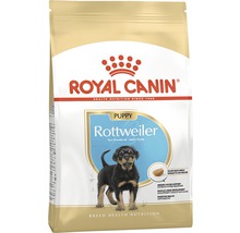 Paquet d''aliments pour chiots Royal Canin Rottweiler