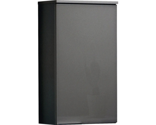 Armoire suspendue FACKELMANN Style/Kara largeur 40 cm anthracite déjà montée