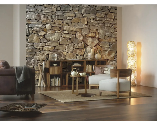 Salon avec mur en pierres, étagère en bois et sièges sur un tapis