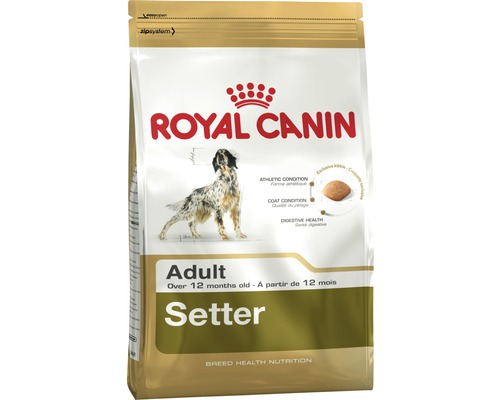 Royal hotsell canin setter