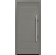 Graue Haustür mit horizontalen Zierleisten und Stangengriff