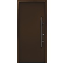 Braune Haustür mit Edelstahlgriff