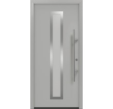 Haustür mit Glaseinsatz und Griffstange