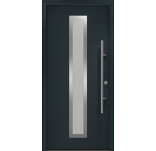 Haustür mit Glaseinsatz und Griffstange