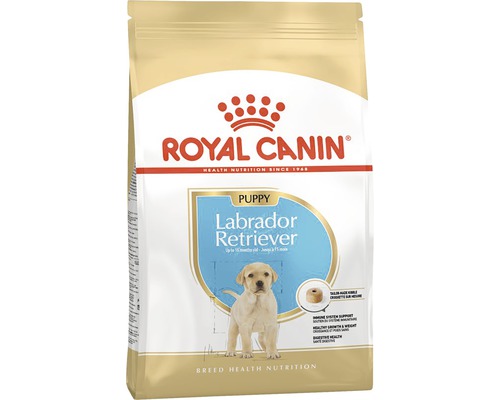 Royal canin junior labrador sale