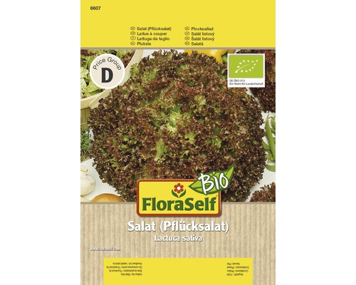 Laitue à couper bio FloraSelf Bio semences non-hybrides semences de salade
