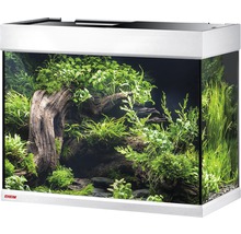Aquarium Eheim avec décoration