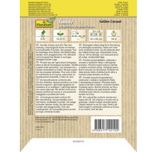 Tomate groseille bio 'Golden Currant' FloraSelf Bio semences de légumes non-hybrides-thumb-1