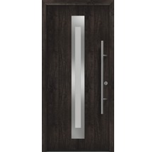 Haustür mit Glaseinsatz und Stangengriff