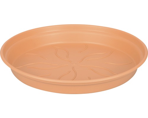 Soucoupe pour plantes en plastique