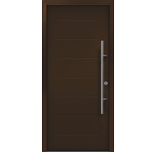 Haustür mit Edelstahlgriff