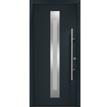 Haustür mit Glasausschnitt und Stangengriff