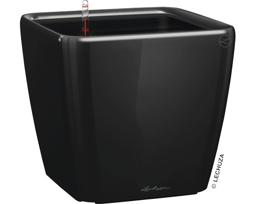 Bac Lechuza Quadro 35 x 35 x h 33 cm noir avec système d'arrosage de la terre avec insert pour plantes substrat indicateur de niveau d'eau Bac Lechuza Quadro 35 x 35 x h 33 cm noir avec système d'arrosage de la terre avec insert pour plantes substrat indicateur de niveau d'eau