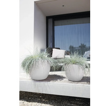 Pot de fleurs Elho Pure Soft avec roulettes 40 cm, rond, blanc