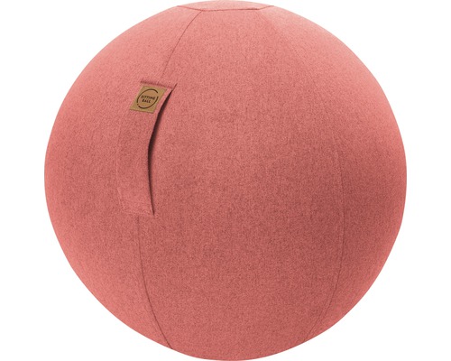 Ballon-siège ballon de gymnastique Sitting Ball à gonfler avec une pompe Felt saumon Ø 65 cm