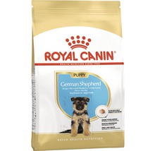 Croquettes pour chien, ROYAL CANIN CC Berger allemand Junior, 12 kg