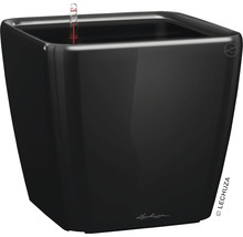 Bac Lechuza Quadro 43 x 43 x H 39 cm noir avec système d'arrosage de la terre avec insert pour plantes substrat indicateur de niveau d'eau