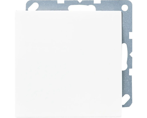 Insert d''interrupteur avec cadre