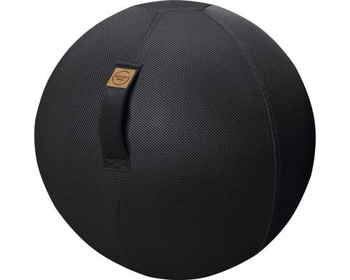 Ballon-siège ballon de gymnastique Sitting Ball à gonfler avec une pompe Mesh noir Ø 65 cm