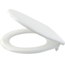 Abattant de WC en plastique