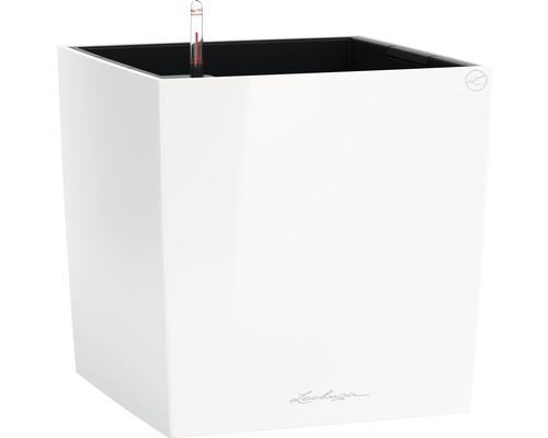 Bac Lechuza Cube 50 kit complet blanc avec système d’arrosage en terre bac d'arrosage substrat indicateur de niveau d’eau