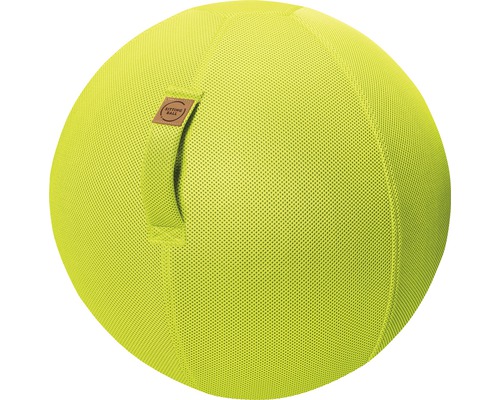 Ballon-siège ballon de gymnastique Sitting Ball à gonfler avec une pompe Mesh vert Ø 65 cm