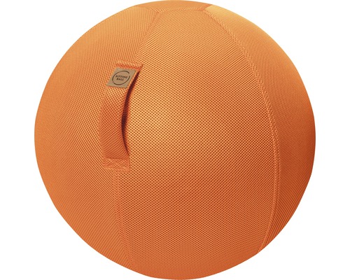 Ballon-siège ballon de gymnastique Sitting Ball à gonfler avec une pompe Mesh orange Ø 65 cm