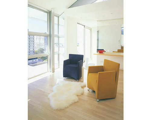 Heller Wohnraum mit zwei Sesseln, einem Teppich und großen Fenstern