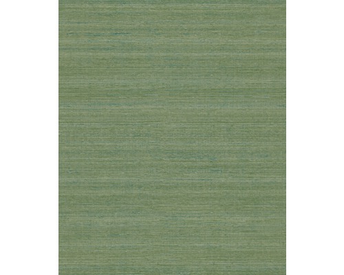 Papier peint vert avec texture horizontale