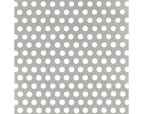 Lochblech Aluminium silber 250x500x0,8 mm Lochung Rund Metallplatte mit runden Löchern