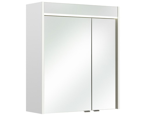 Spiegelschrank mit zwei Türen und Beleuchtung