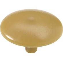 Bouton de meuble en plastique