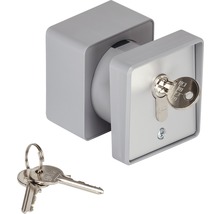 Interrupteur à clé encastré ou en saillie gris - HORNBACH Luxembourg