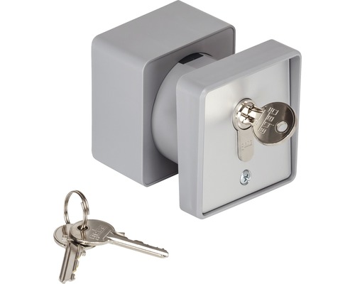 Interrupteur à clé encastré ou en saillie gris