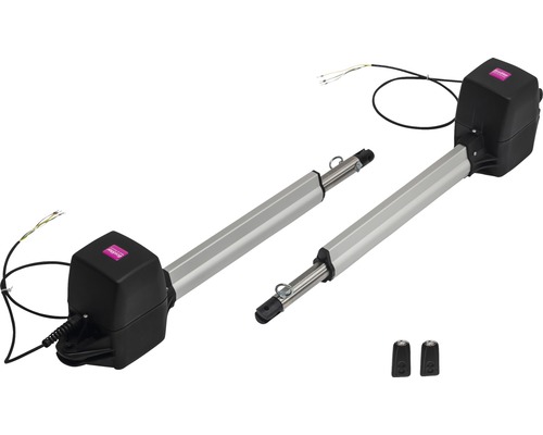 Entraînement de portail puissant avec deux émetteurs manuels